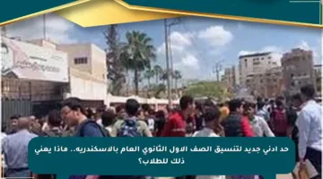 حد أدنى جديد لتنسيق الصف الأول الثانوي العام بالإسكندرية.. ماذا يعني ذلك للطلاب؟